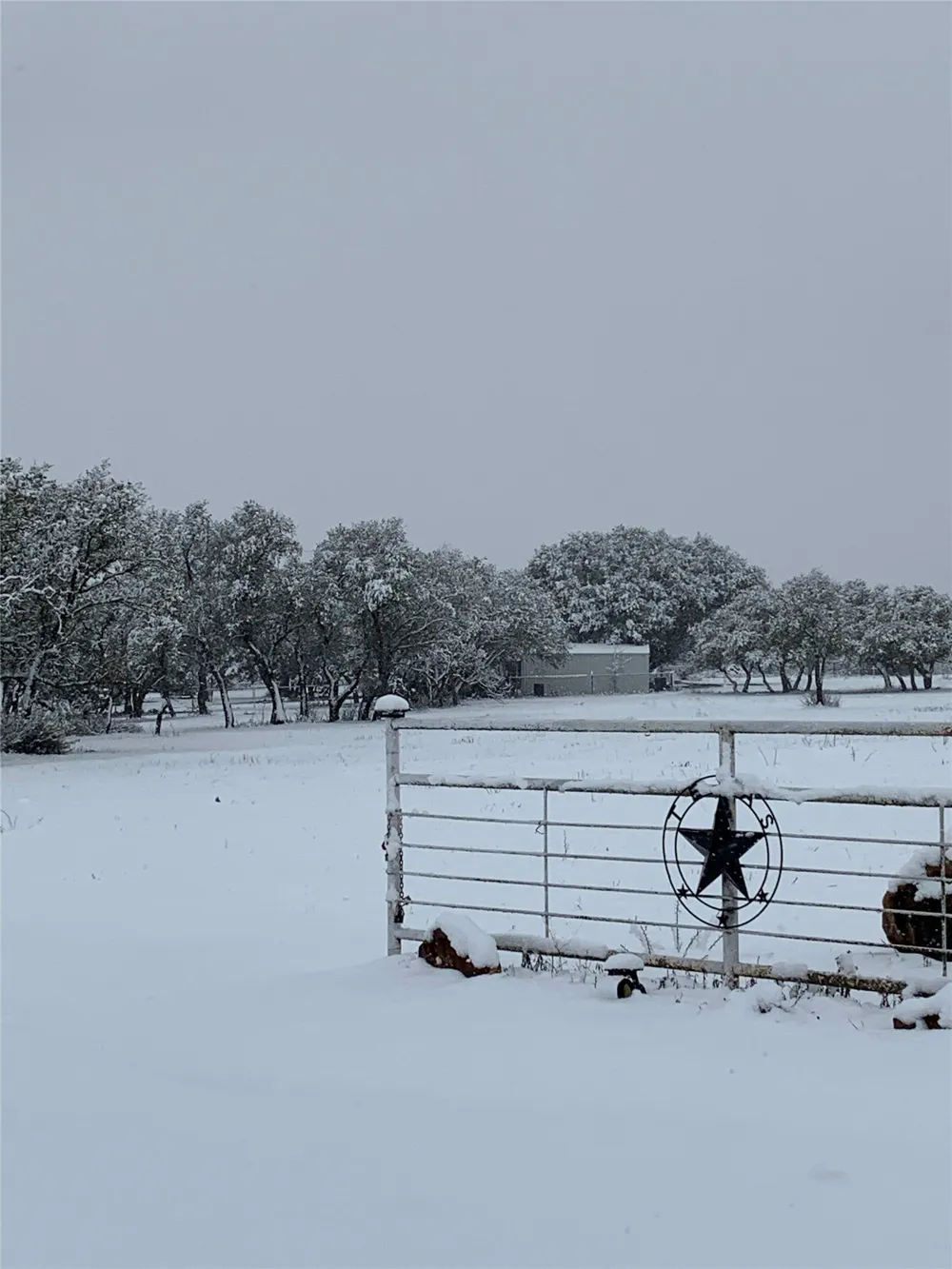 239 County Road 160 Brady, TX 76825