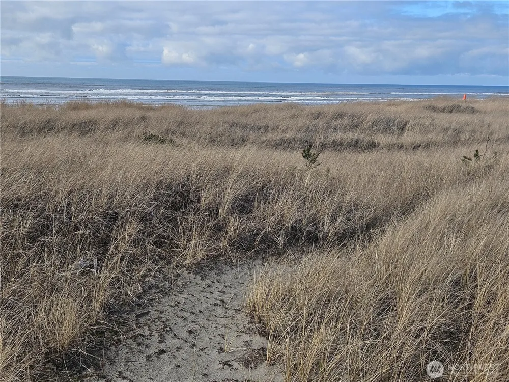 29529 G STREET Ocean Park, WA 98640