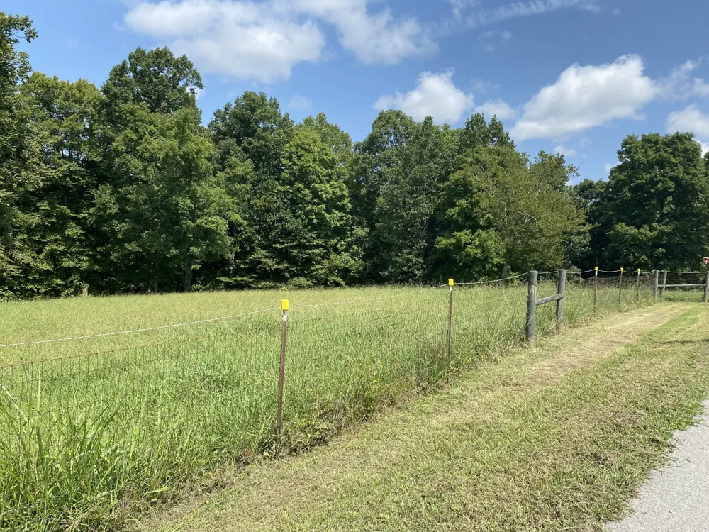 326 Sherman Rd Charlotte, TN 37036