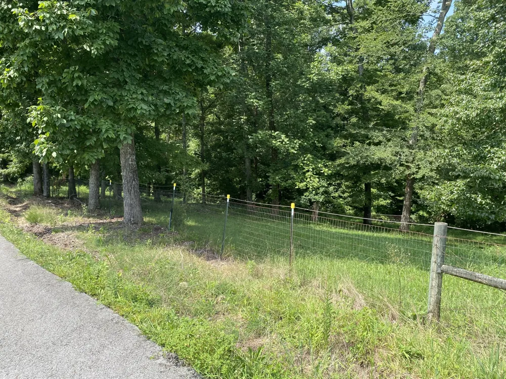 326 Sherman Rd Charlotte, TN 37036