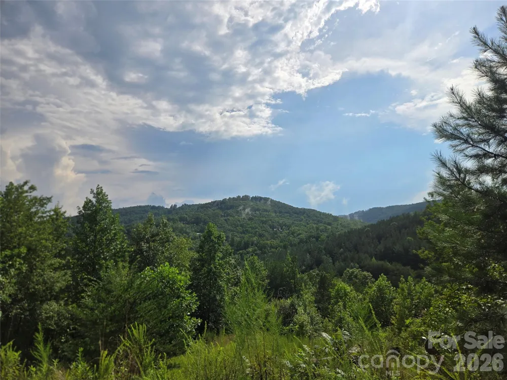 0 Pinegrove Drive #161 Bostic, NC 28018