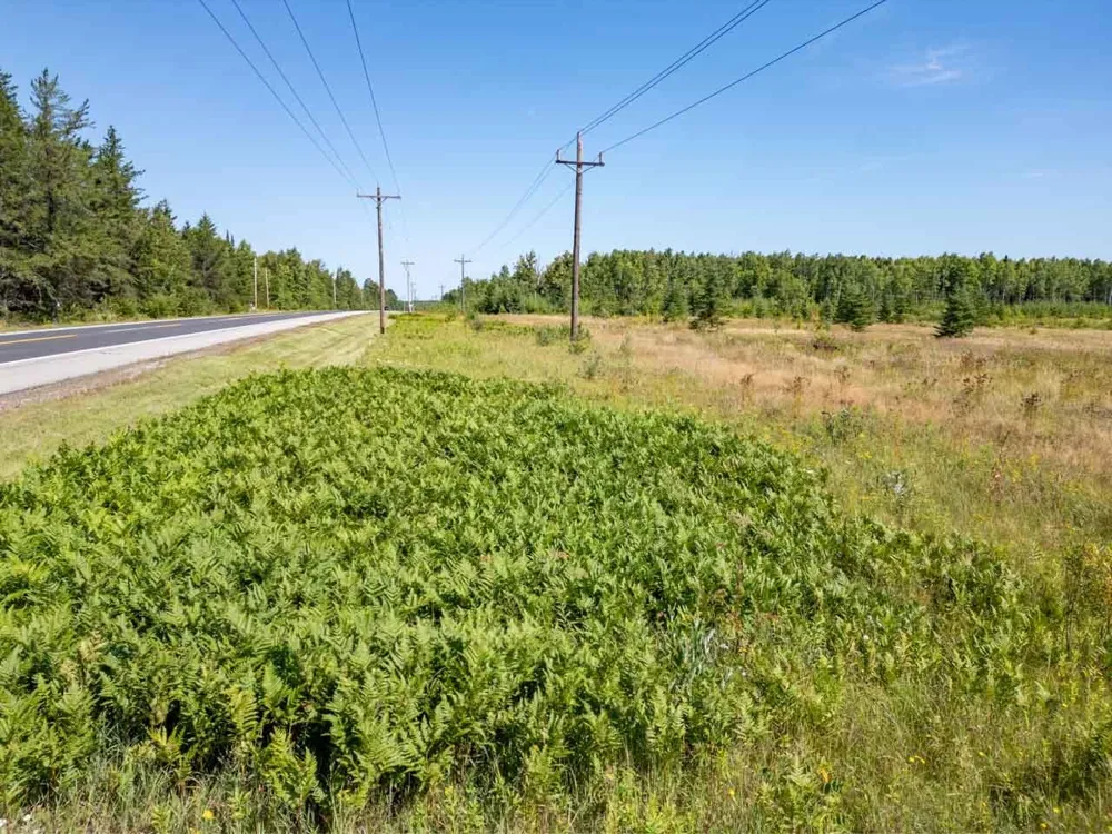 TBD Hwy 5 Hibbing, MN 55746