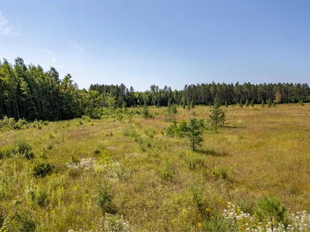 TBD Hwy 5 Hibbing, MN 55746