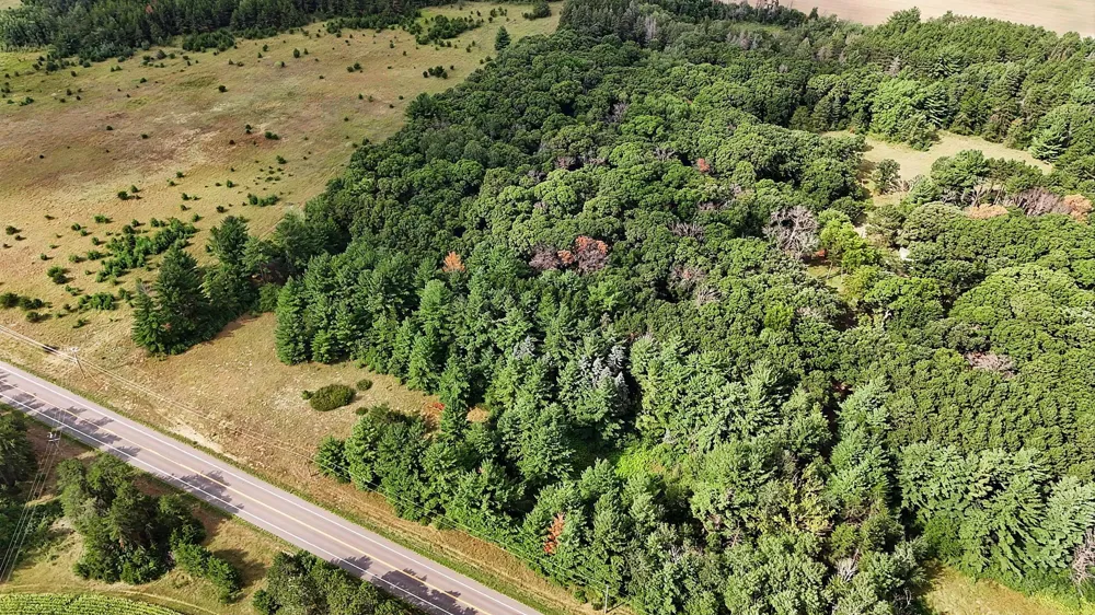 141xx 160th Avenue Little Falls, MN 56345