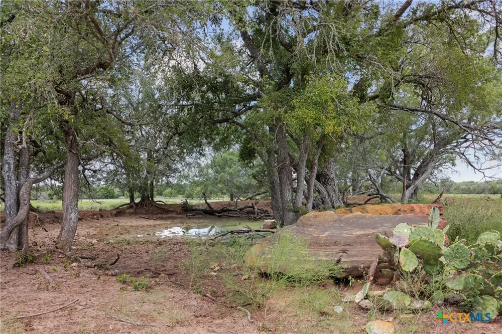 3 FM 3158 Dale, TX 78616