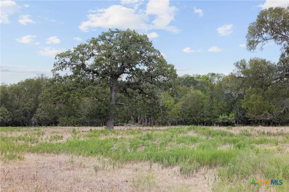3 FM 3158 Dale, TX 78616