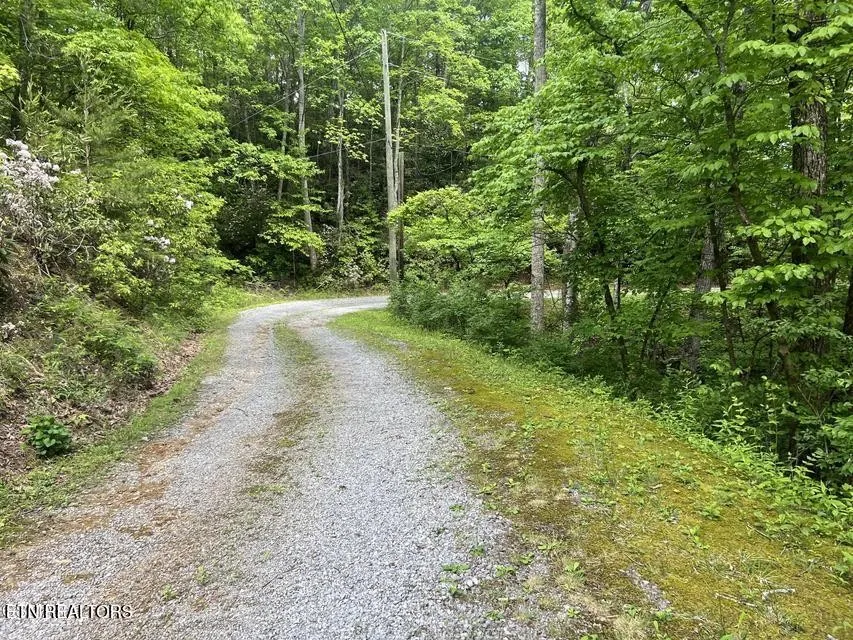 3 Old Cartertown Rd Gatlinburg, TN 37738