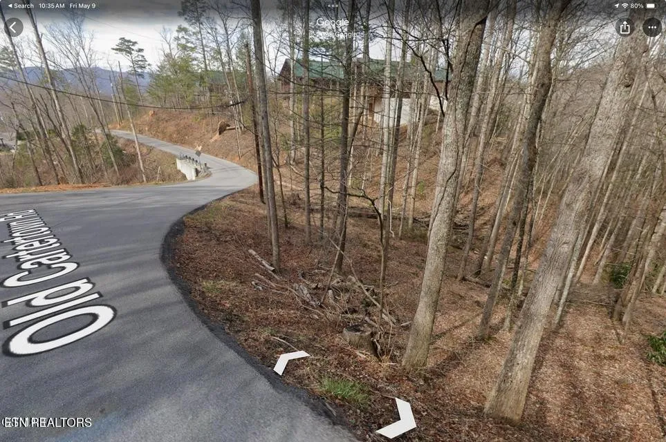 3 Old Cartertown Rd Gatlinburg, TN 37738