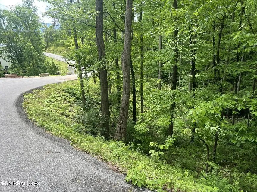 3 Old Cartertown Rd Gatlinburg, TN 37738
