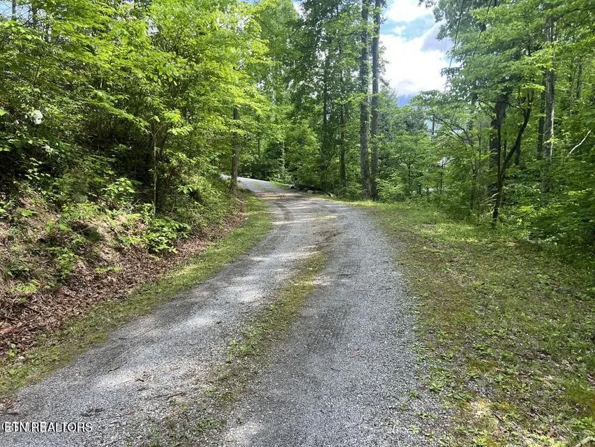 3 Old Cartertown Rd Gatlinburg, TN 37738
