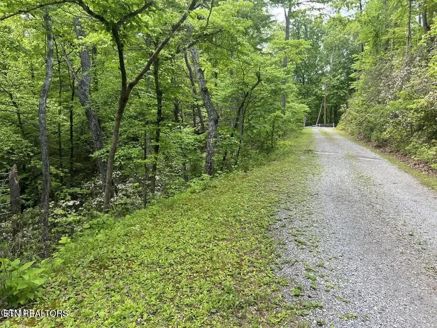 3 Old Cartertown Rd Gatlinburg, TN 37738