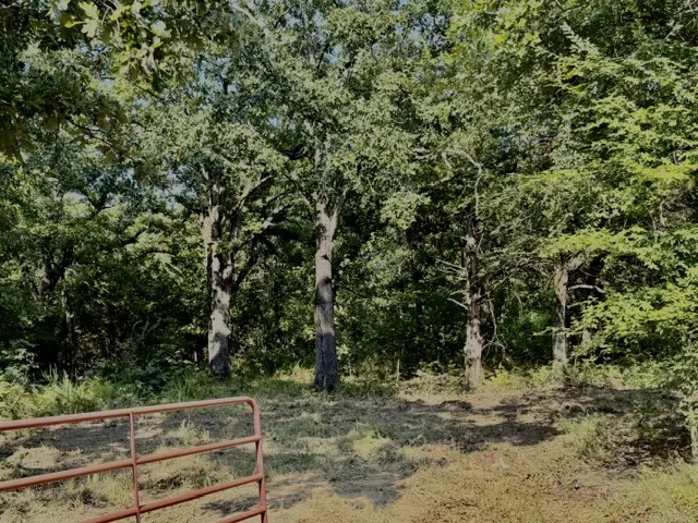 98591 4503 CIRCLE Vian, OK 74962