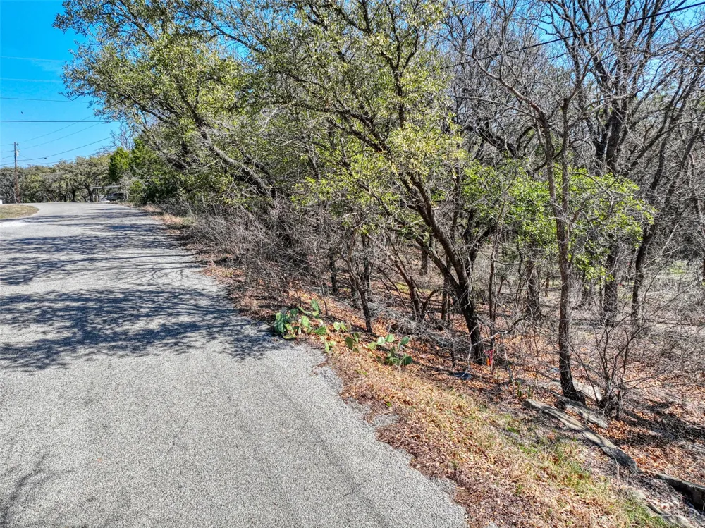 1115 Brazos Drive Granbury, TX 76048