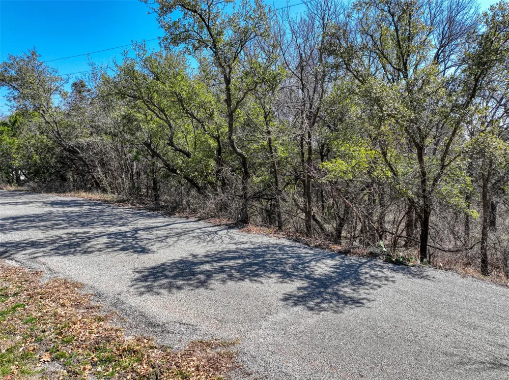1115 Brazos Drive Granbury, TX 76048