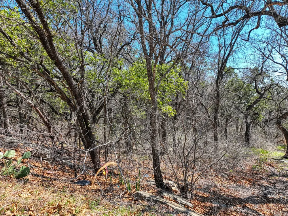1115 Brazos Drive Granbury, TX 76048