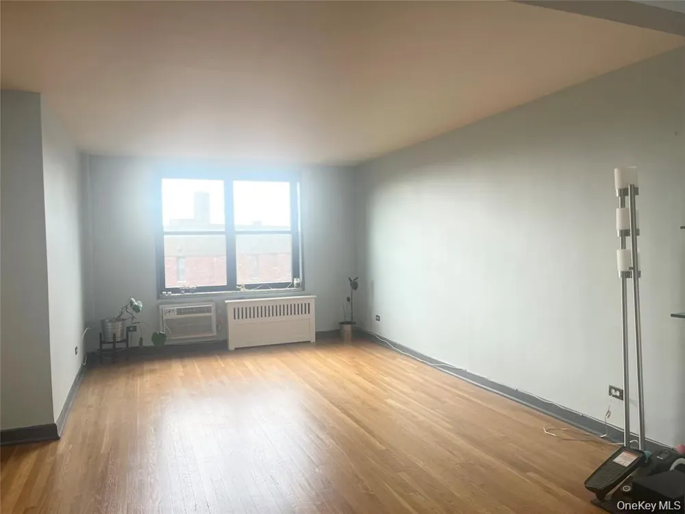 139-15 83rd Avenue #717 Briarwood, NY 11435