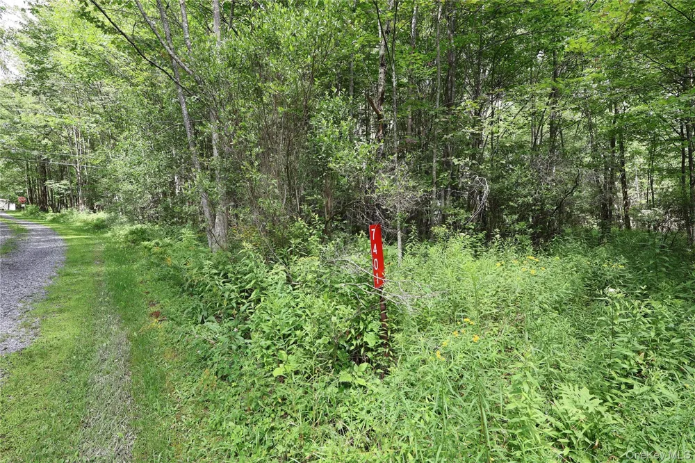 7401 Millbrook Road Arkville, NY 12406