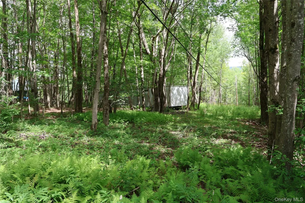 7401 Millbrook Road Arkville, NY 12406