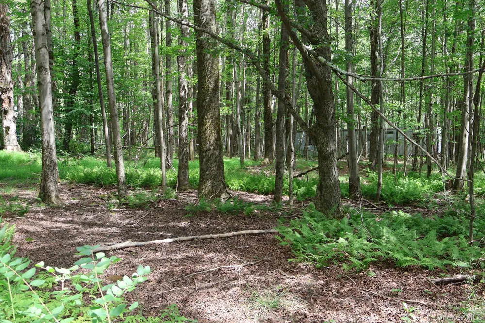7401 Millbrook Road Arkville, NY 12406