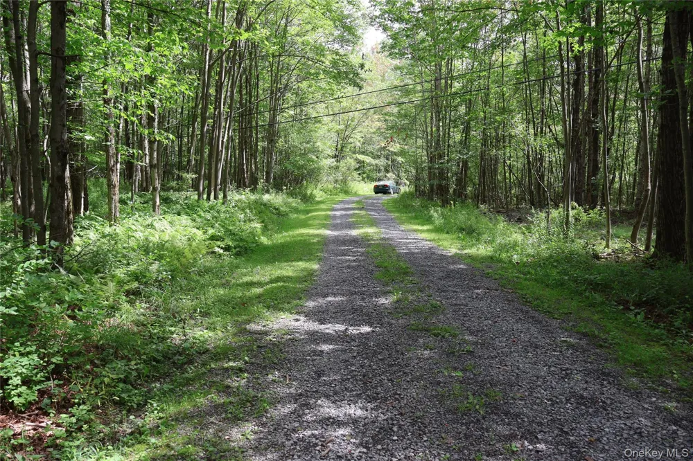 7401 Millbrook Road Arkville, NY 12406