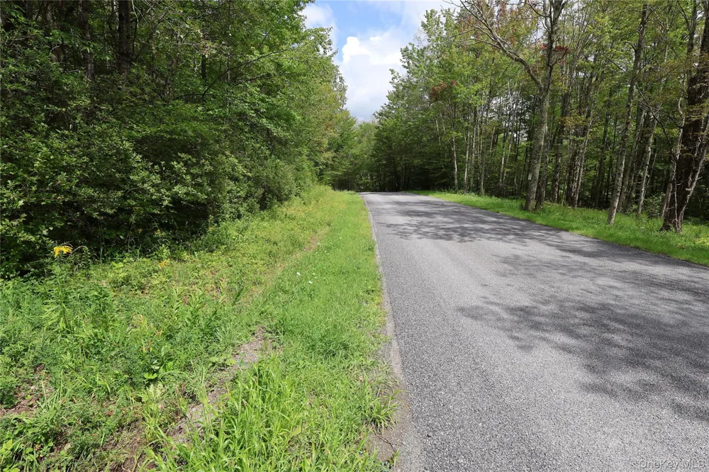7401 Millbrook Road Arkville, NY 12406