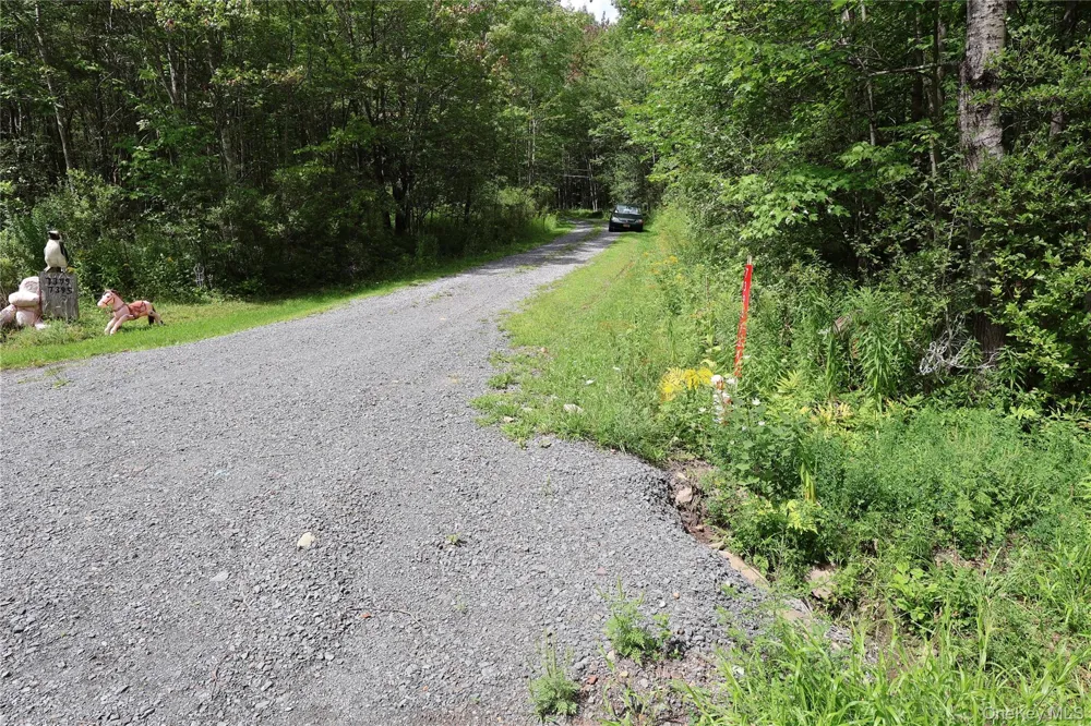 7401 Millbrook Road Arkville, NY 12406
