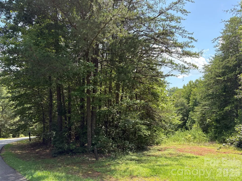 00 Doveridge Drive #67 Columbus, NC 28722