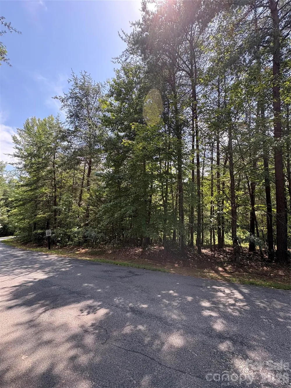 00 Doveridge Drive #67 Columbus, NC 28722