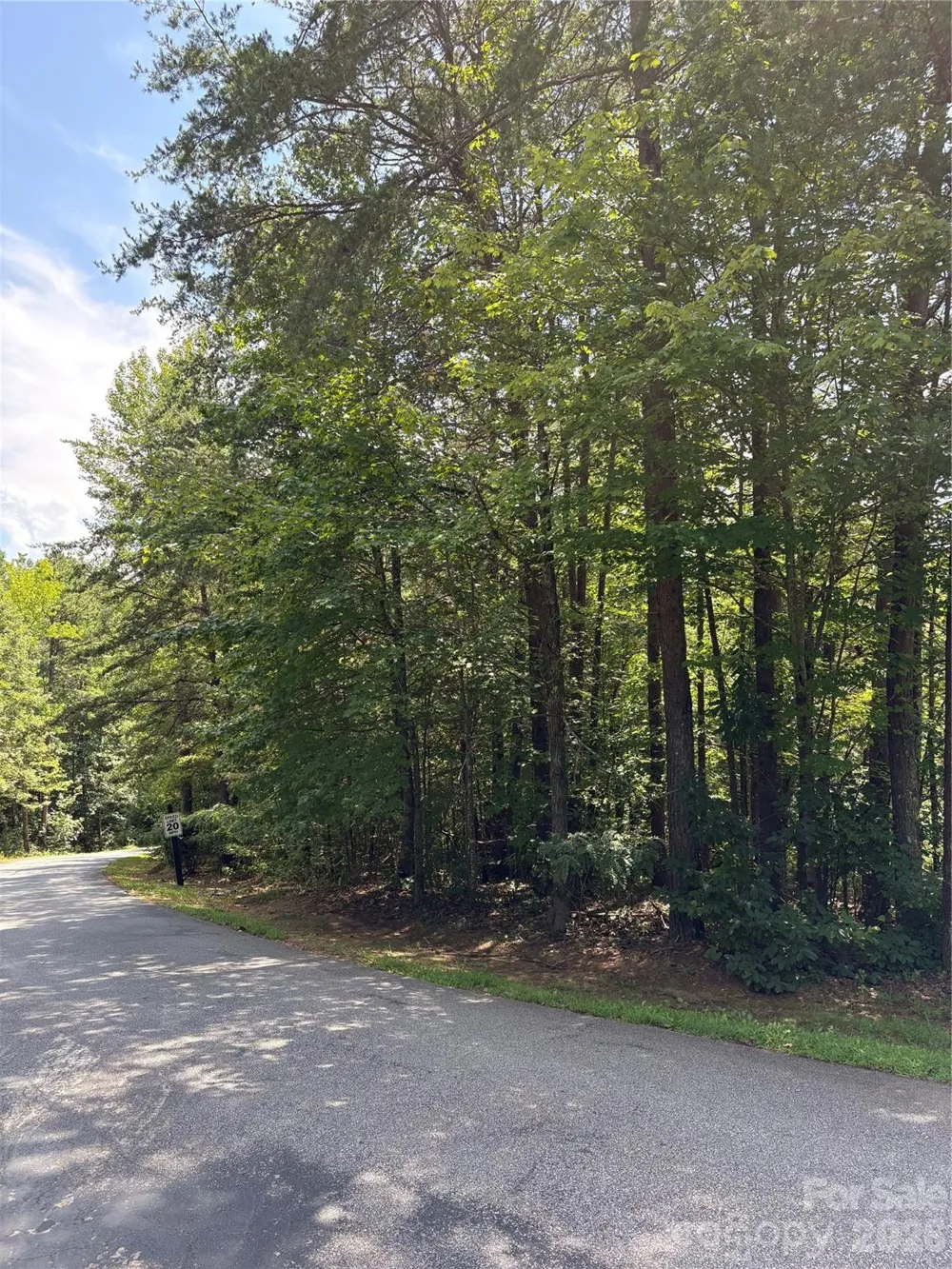 00 Doveridge Drive #67 Columbus, NC 28722