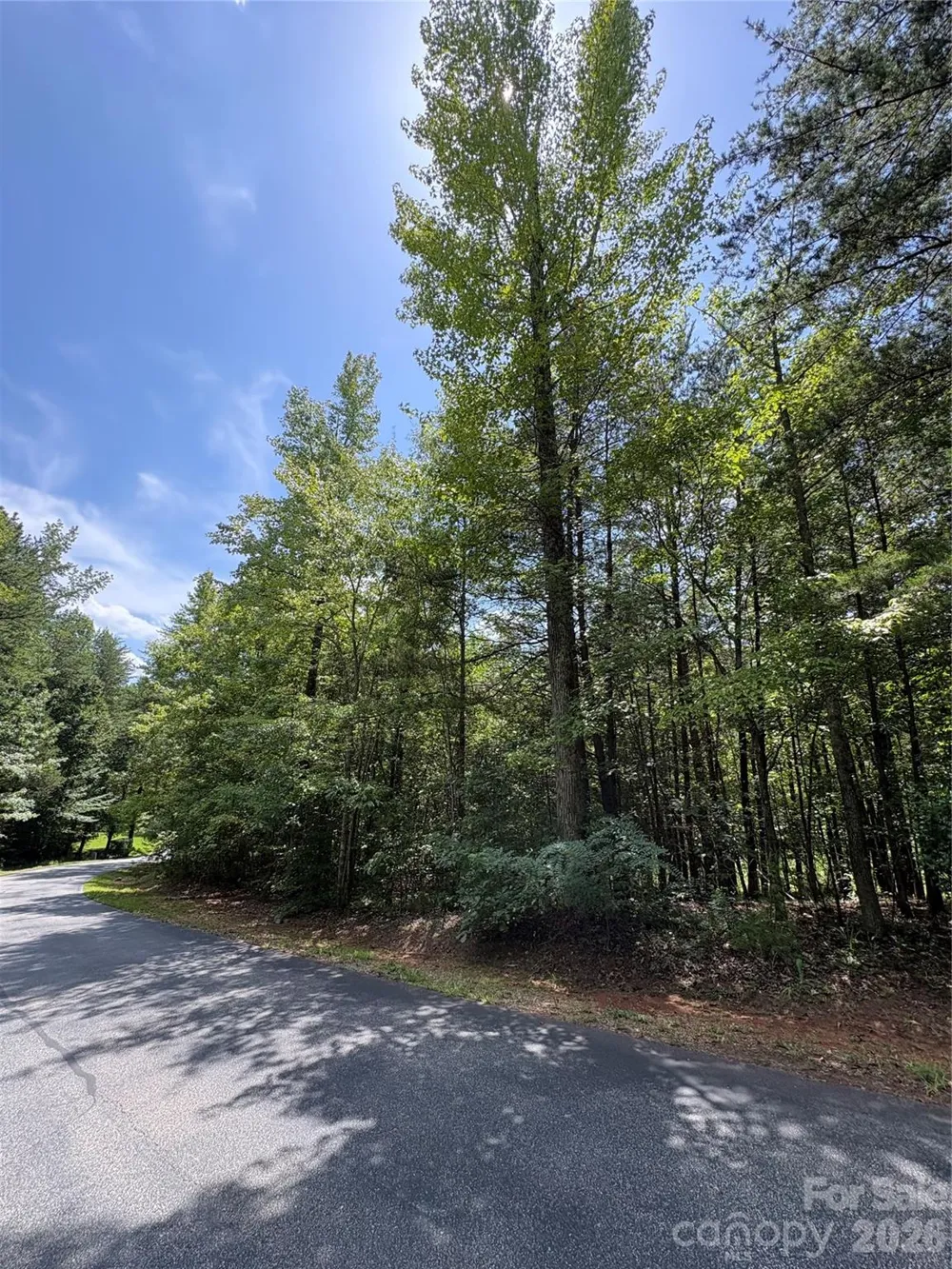 00 Doveridge Drive #67 Columbus, NC 28722