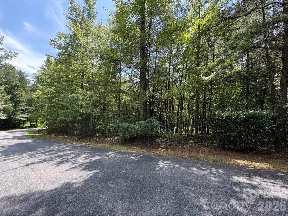 00 Doveridge Drive #67 Columbus, NC 28722