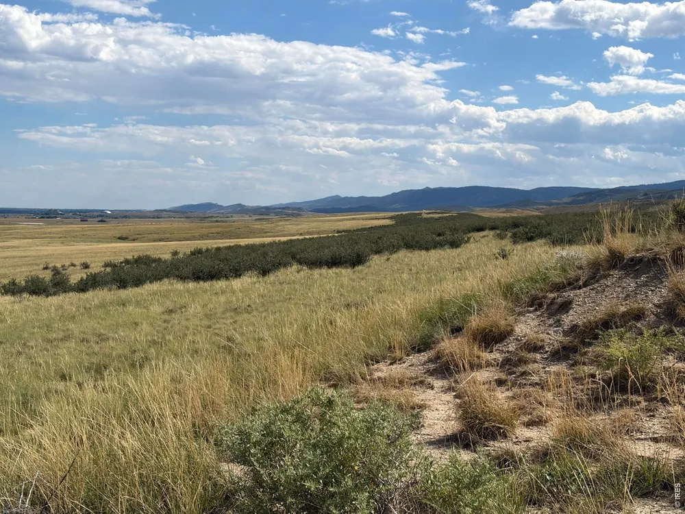 60 Niobrara Ridge Road Laporte, CO 80535