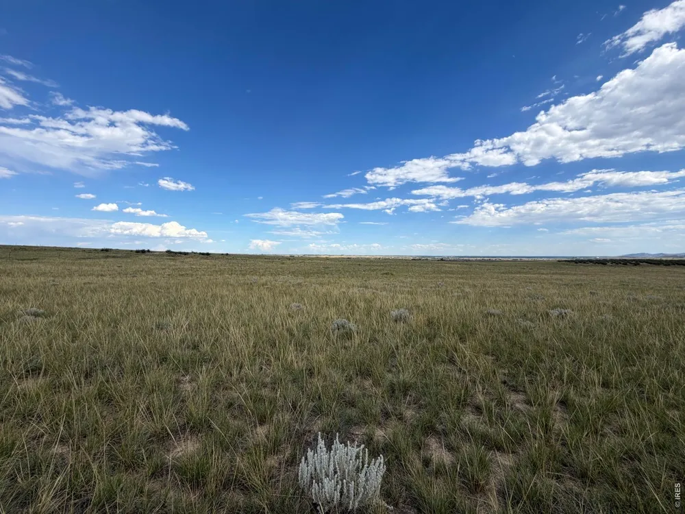 60 Niobrara Ridge Road Laporte, CO 80535