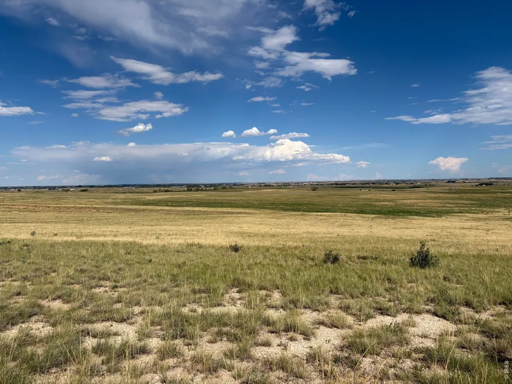 60 Niobrara Ridge Road Laporte, CO 80535
