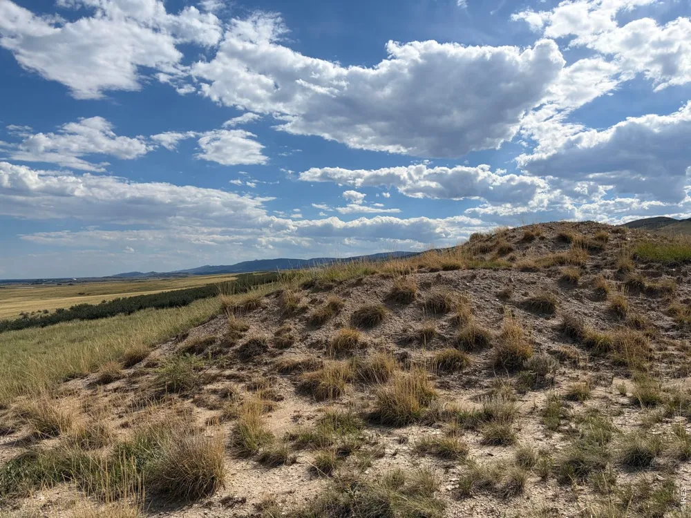 60 Niobrara Ridge Road Laporte, CO 80535