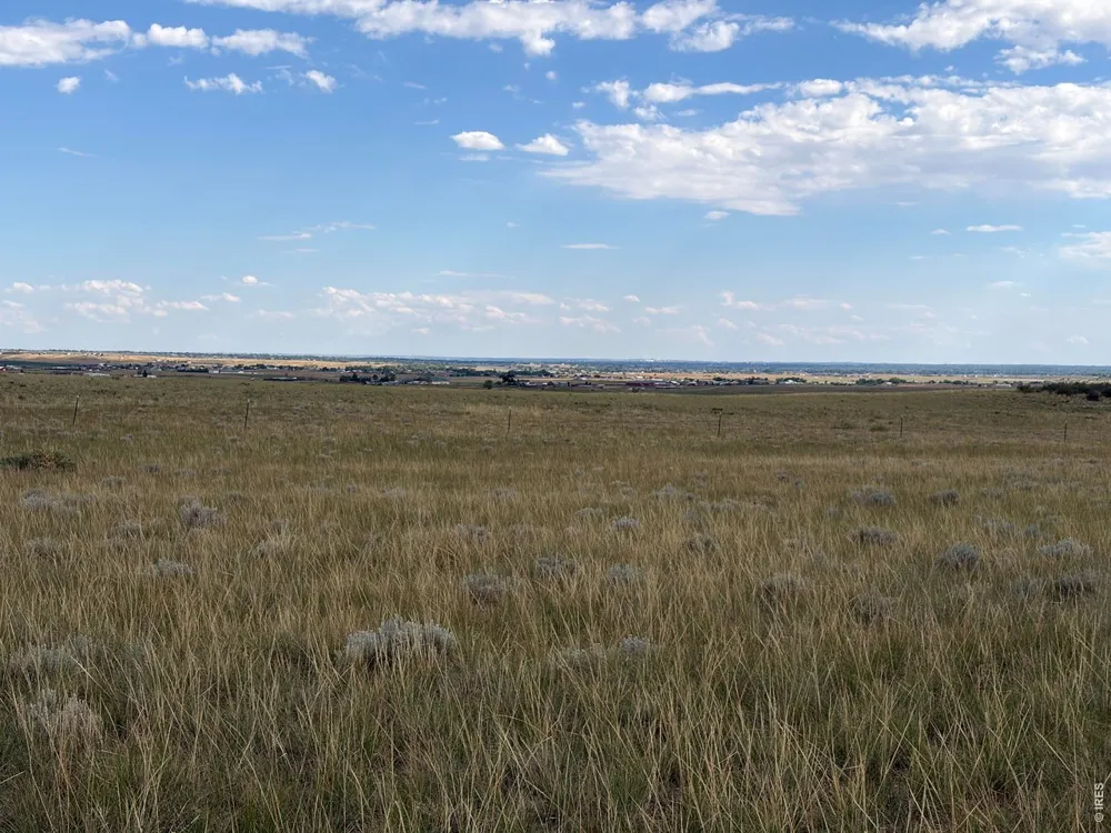 60 Niobrara Ridge Road Laporte, CO 80535