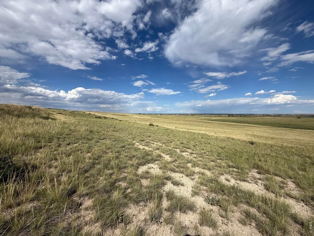60 Niobrara Ridge Road Laporte, CO 80535