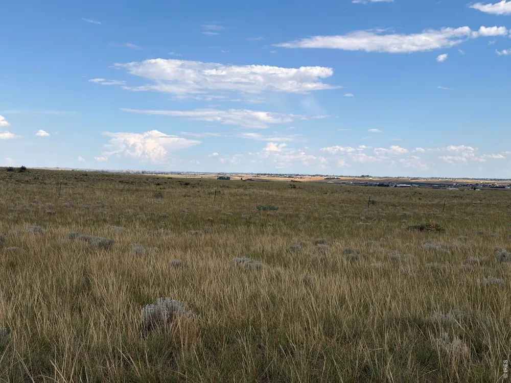 60 Niobrara Ridge Road Laporte, CO 80535