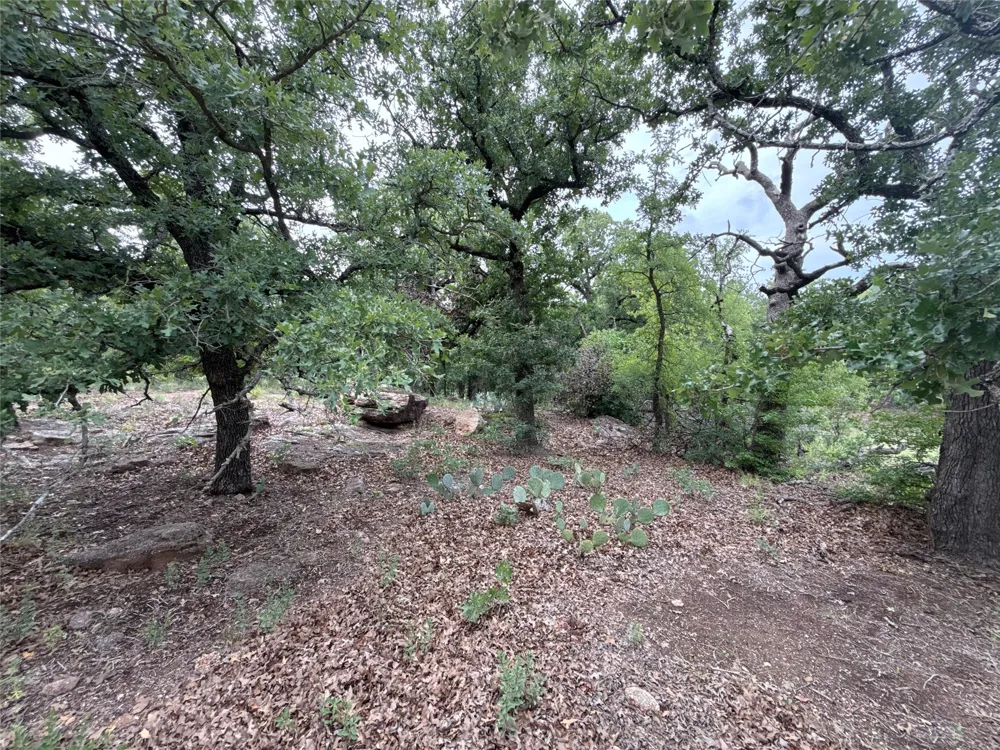 316 County Road 458 De Leon, TX 76444