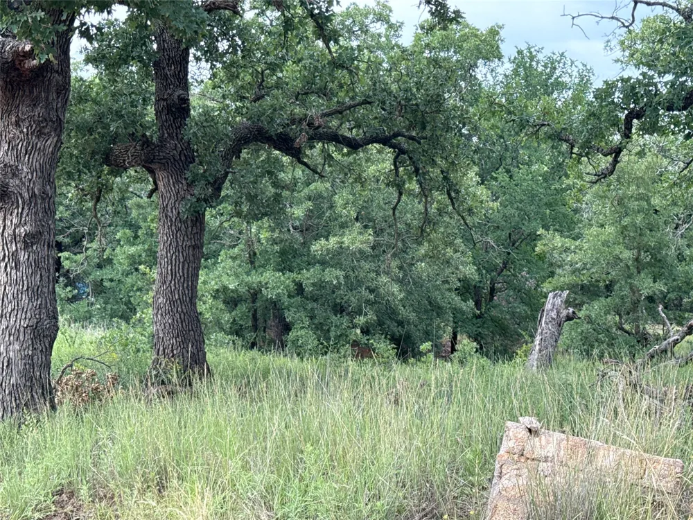 316 County Road 458 De Leon, TX 76444