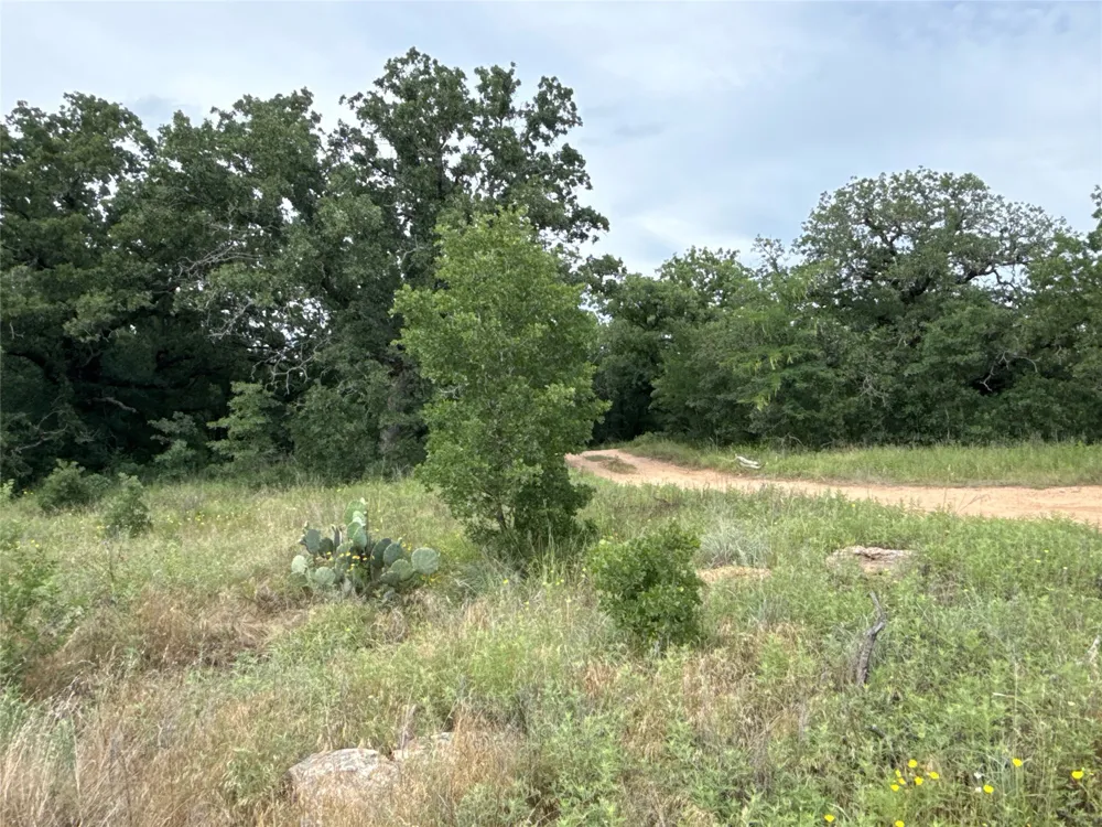 316 County Road 458 De Leon, TX 76444