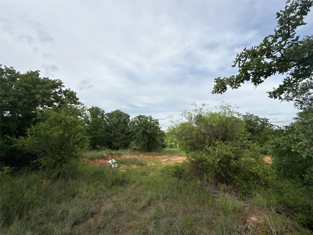 316 County Road 458 De Leon, TX 76444