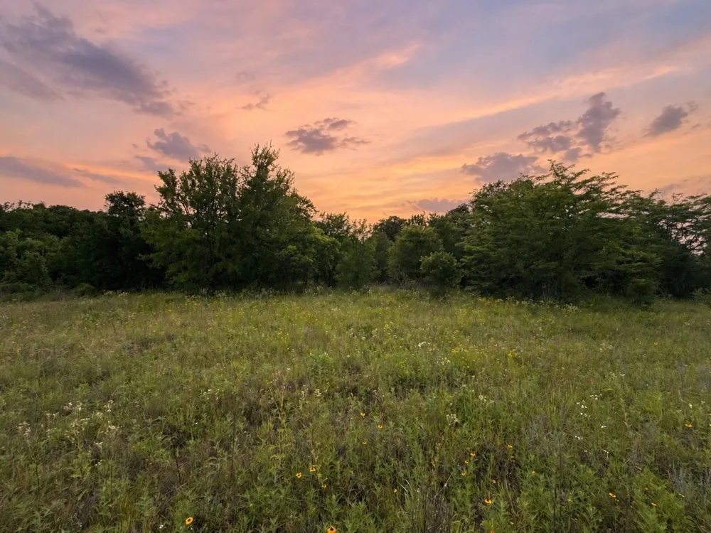 316 County Road 458 De Leon, TX 76444