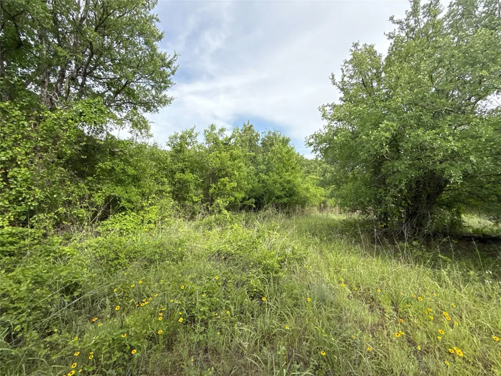 316 County Road 458 De Leon, TX 76444