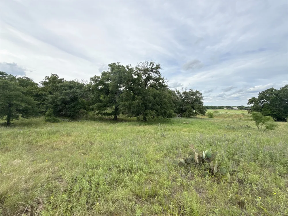 316 County Road 458 De Leon, TX 76444