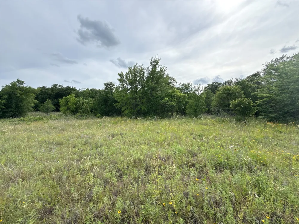 316 County Road 458 De Leon, TX 76444