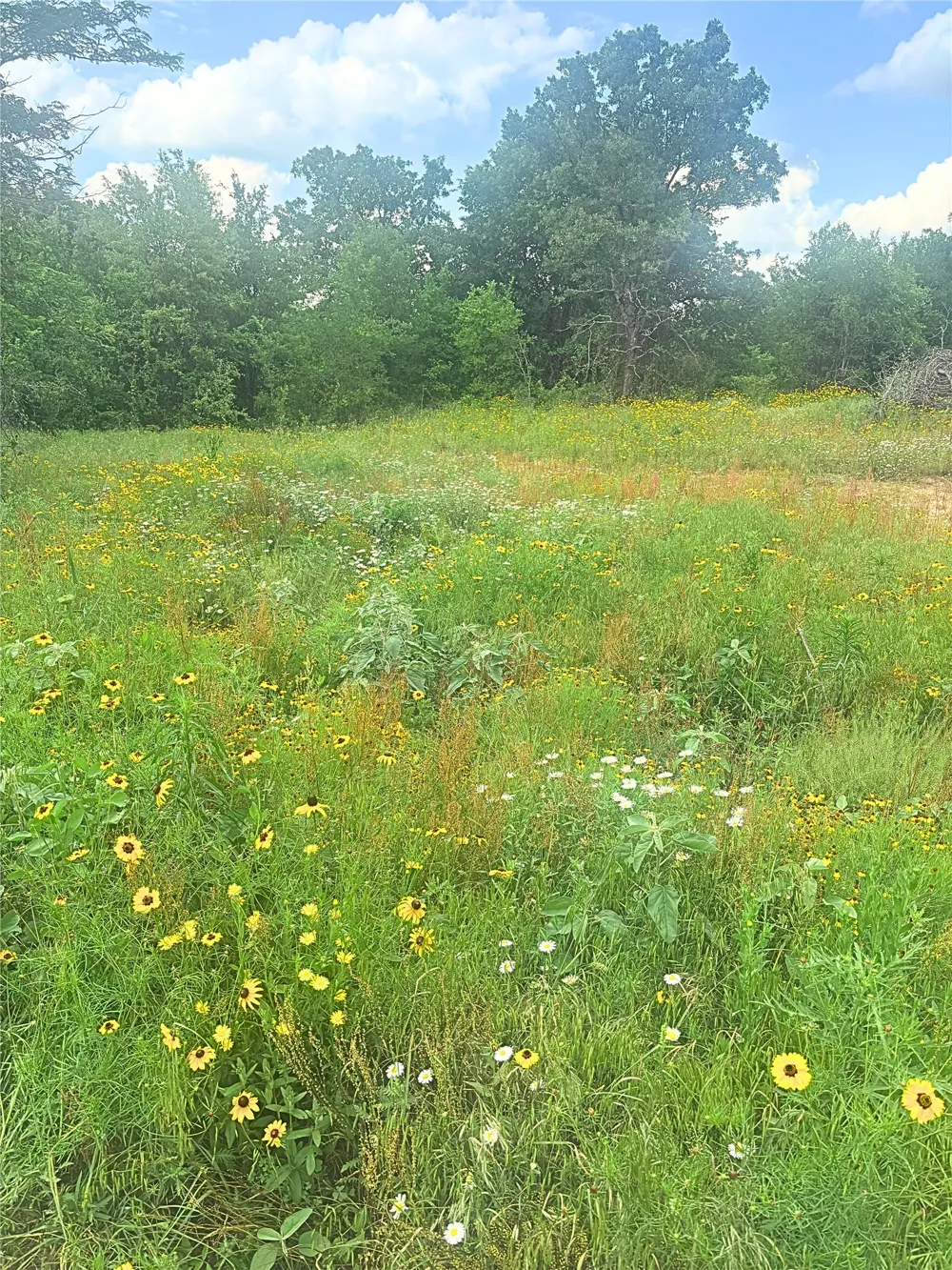 316 County Road 458 De Leon, TX 76444