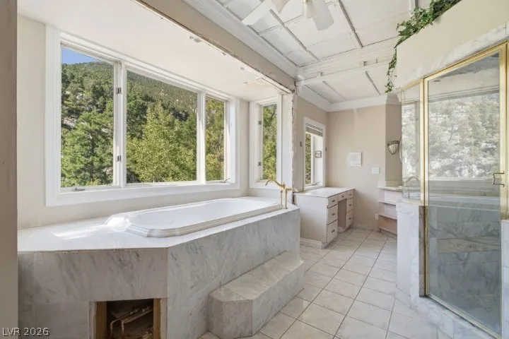 3910 White Fir Way Mount Charleston, NV 89124