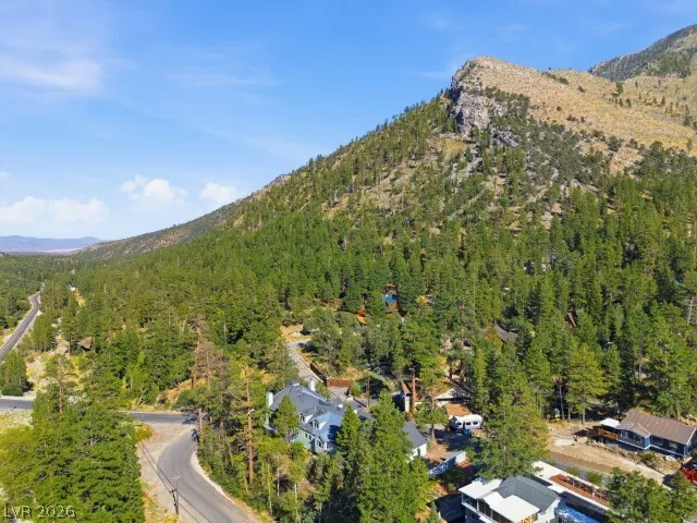 3910 White Fir Way Mount Charleston, NV 89124