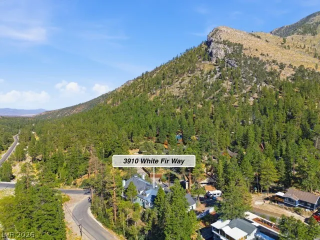 3910 White Fir Way Mount Charleston, NV 89124